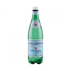 Вода SAN PELLEGRINO натуральная газированная /пэт/ 0,5л*24