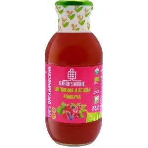 ***Комбуча GEORGIA'S NATURAL ORGANIC из шиповника и ягод /стекло/ 300мл*20