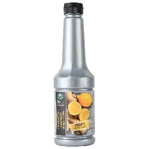 Пюре BOTANIKA незамороженное ИМБИРЬ-ЛИМОН /пластик/ 1л*6 Пюре BOTANIKA незамороженное ИМБИРЬ-ЛИМОН /пластик/ 1л*6