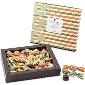 Конфеты GARDINI шоколадное ассорти CACAO E SALE DOLCE DI CERVIA пралине в подарочной упаковке (ручной работы) /картон/ 290г*4