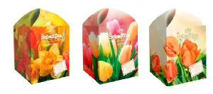 Чай SEBASTEA Spring Tulips ассорти черн.+ зел.(20 пак.) /картон/ 30г*12
